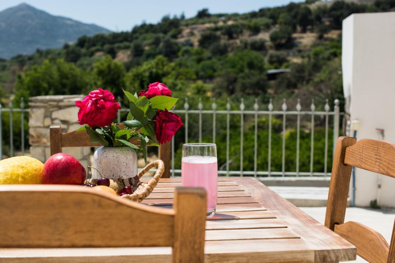 Papa-Antonis Stone House Villa Zaros Luaran gambar